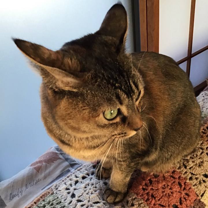 71ff7069 5408 4390 82d0 ff2db42d6fd4 1642752741119