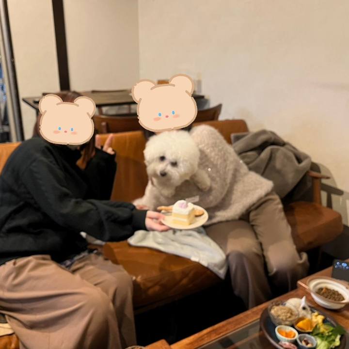 71ff71b2 c7cd 461a a6ad e31d846b4f24 1765841620831