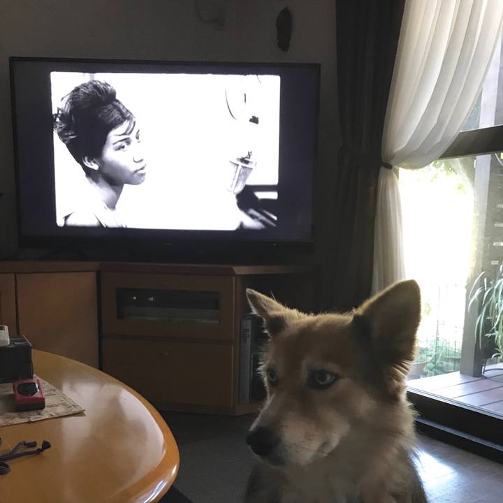 71ff71f2 7879 437f bbda a272acc57f56 1534493589475