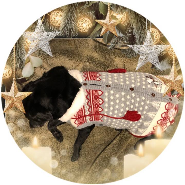 71ff944a 928f 4c5b a0e5 bd4b178d4cc9 1576595580495