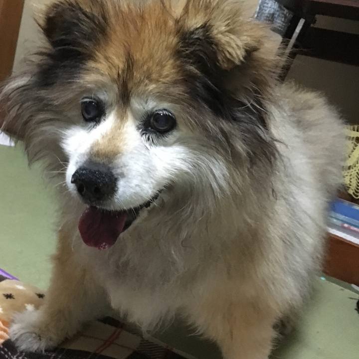 71ffcbb9 66f7 48e0 a60f 343e1007b2c4 1613468525775