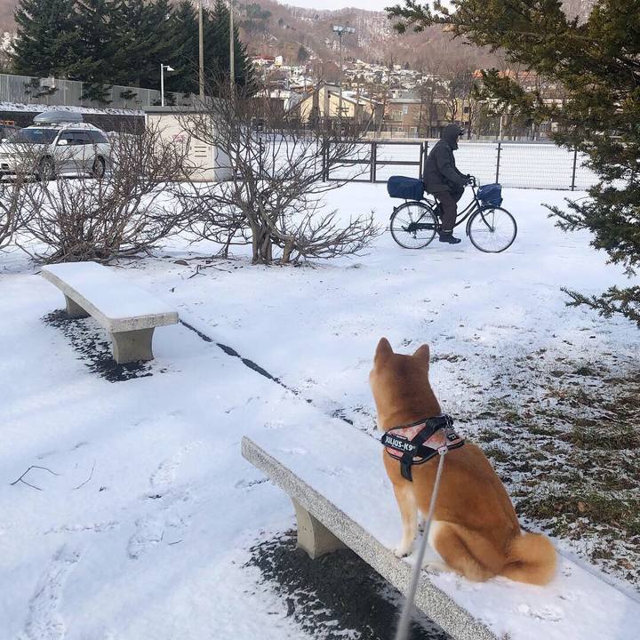 71fff9e2 fe2f 49a9 91c4 0b68162cdf87 1553737694208