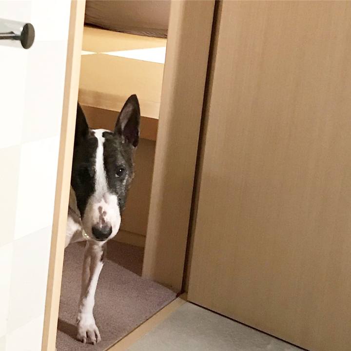 72000d31 8321 41a2 9927 762fa91f979a 1523233296157