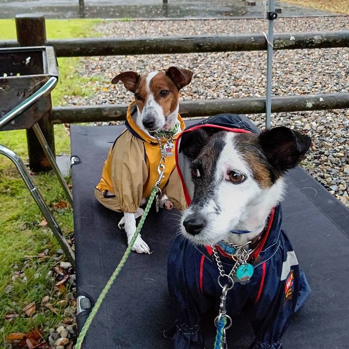 72001134 e177 48bc 8d59 04ce2e5a61b2 1663913104549