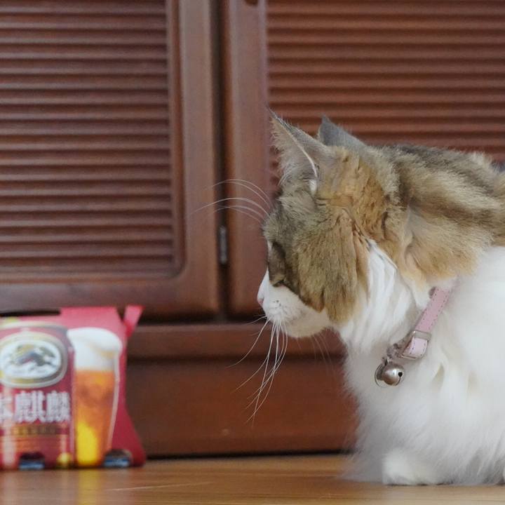 72001347 0fd4 4487 ad39 af8f4a0d077e 1636604598556