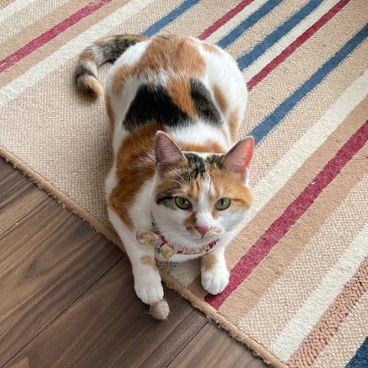 720021f5 a7ed 47cd 9167 c48b8a3ed89b 1650174009934