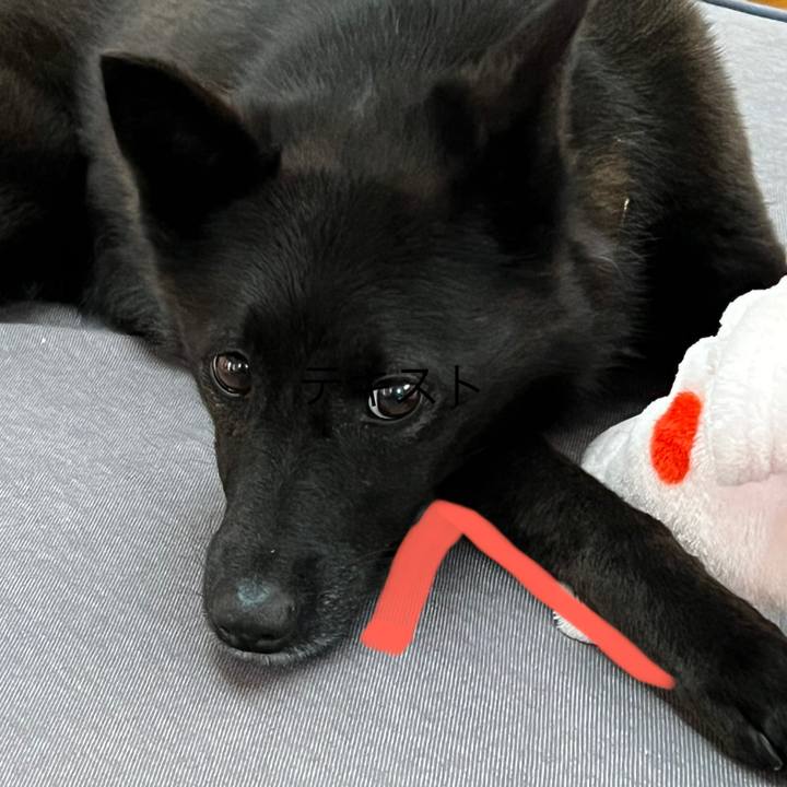 7200390c 3f4f 4702 ad4c a119f668009c 1686441337415