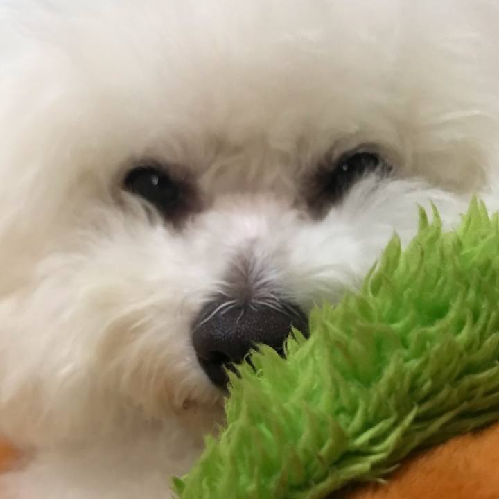 720047aa 0377 47f8 9b32 b2689deae5d7 1597900035751