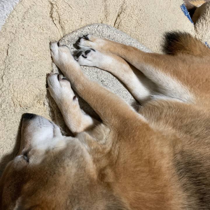 7200c2e1 2e62 473a a6ef dd37d9998ec2 1649675985033