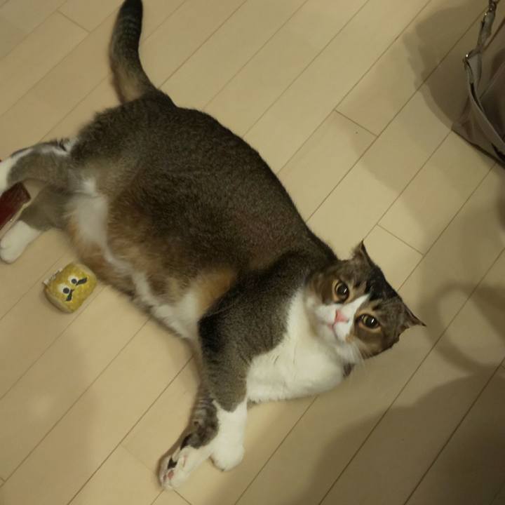 7200f54f 8a01 4c74 a710 55004ef89475 1579215763790