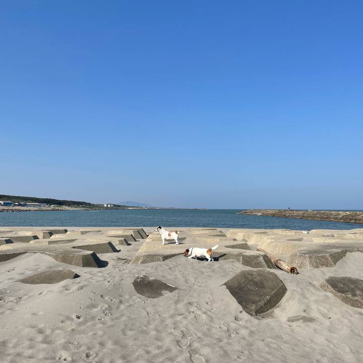 72010f35 025b 4dee 810d e28b7621ac65 1683678435725