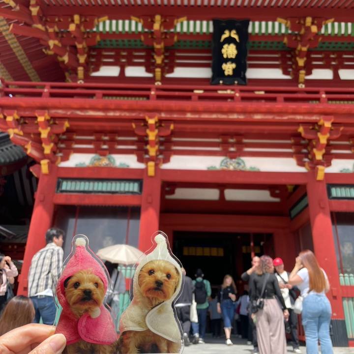 7201558b 7468 4447 8bba 988d9b010553 1776759701882