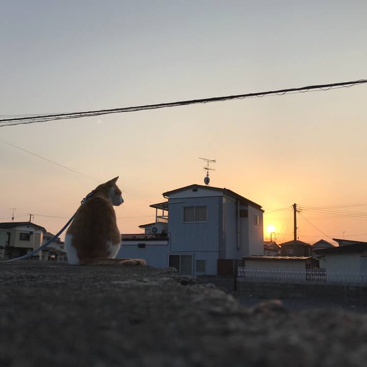 720156ad dcdf 47d5 985d c93ecbb5c694 1520947911405