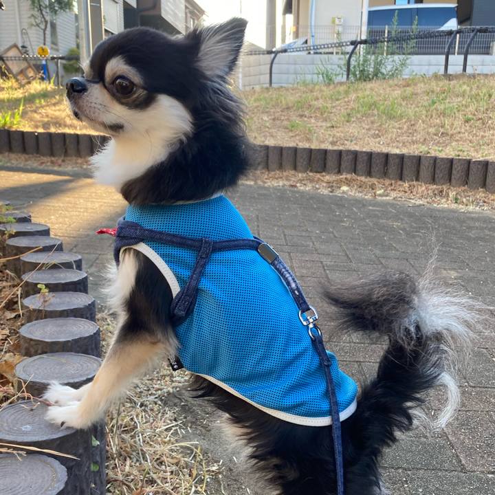 720163c5 27d9 4e56 b2b2 7449b8d000cf 1690728923686