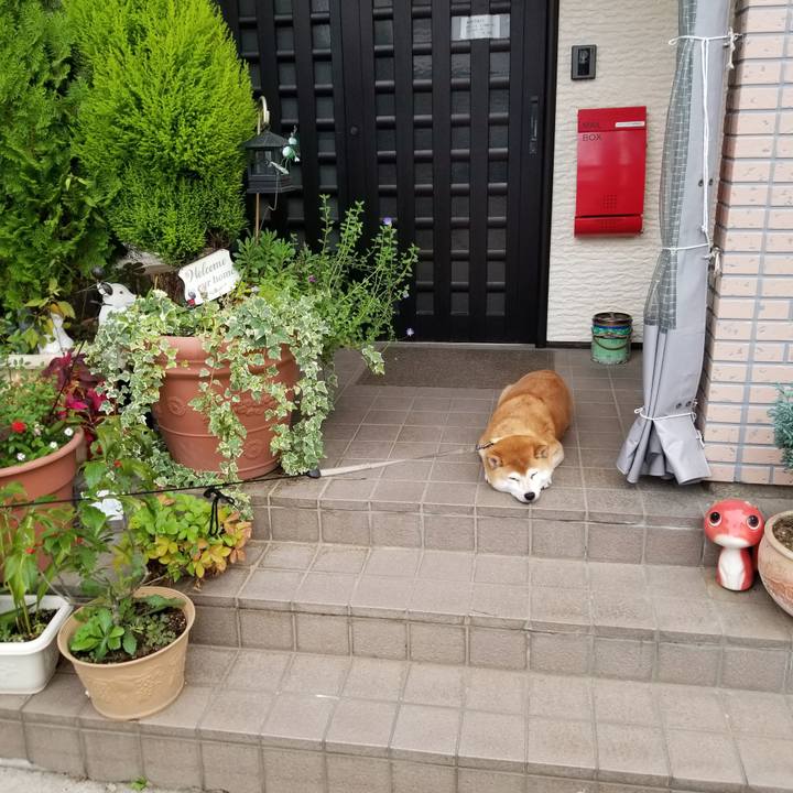 72016aab 6aec 43d9 9a05 0f276a20963d 1570775160653