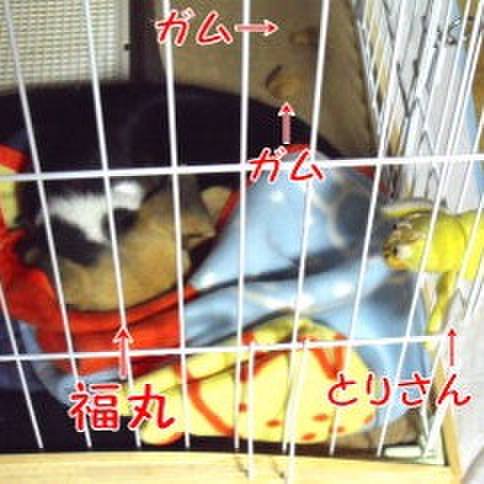 72019cce 2319 4dc3 b13c 85a6f3184508 1677728612835