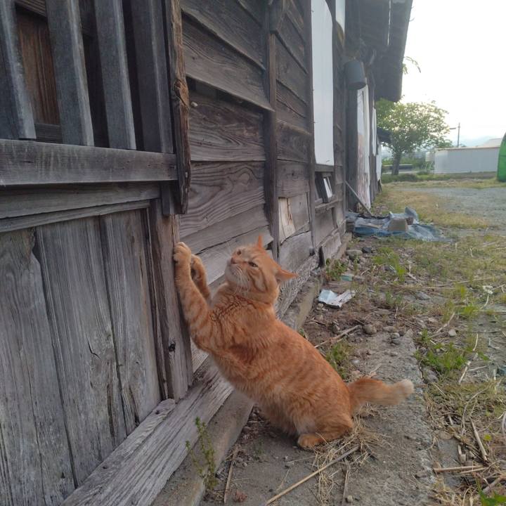 7201ba38 d670 4d36 b0b2 f694b8750aeb 1683927997349