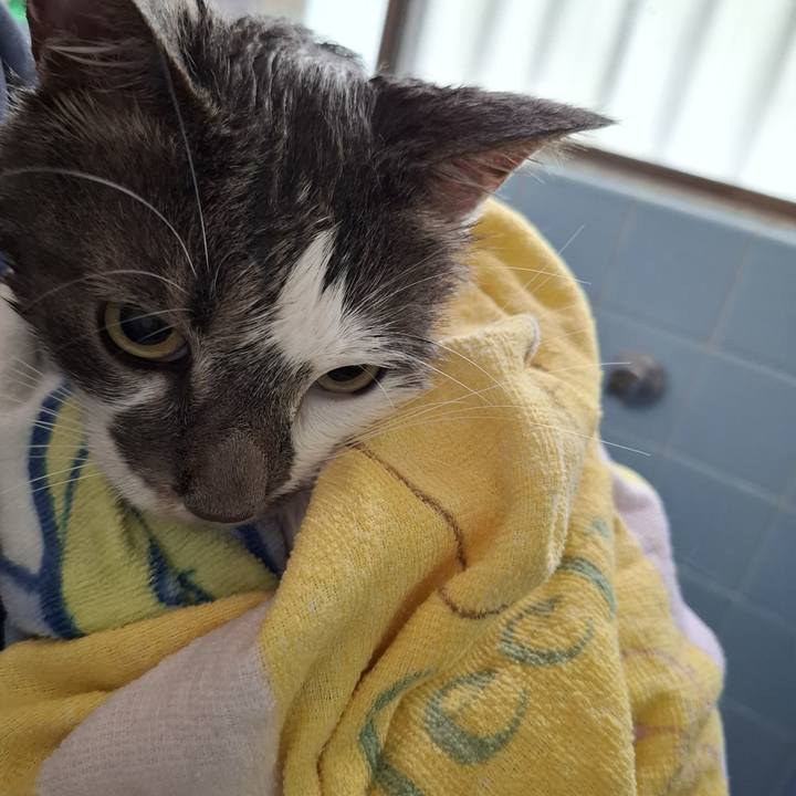 7201bdc8 e5c8 4b45 93e6 2d412e3f24fb 1745112873189