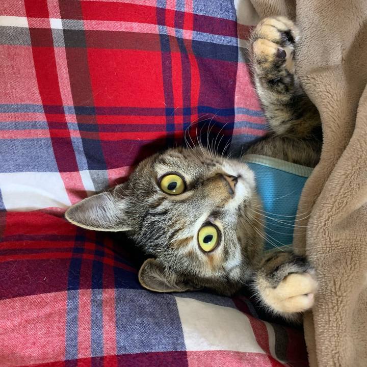 7201d9c8 2db4 4b91 a97a 687449cb2e94 1609640356732