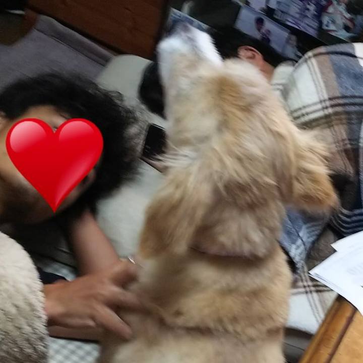 7201f329 0db7 452b 9616 1ed4c1e9643b 1535871736476