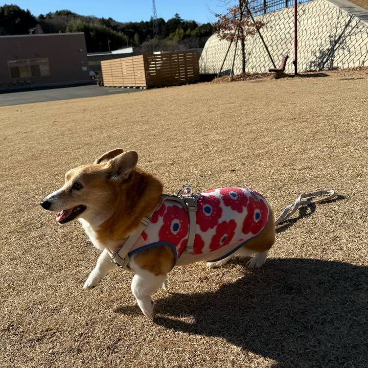 7201f9b4 854e 4059 b9fb e357356c6bbe 1767425240275