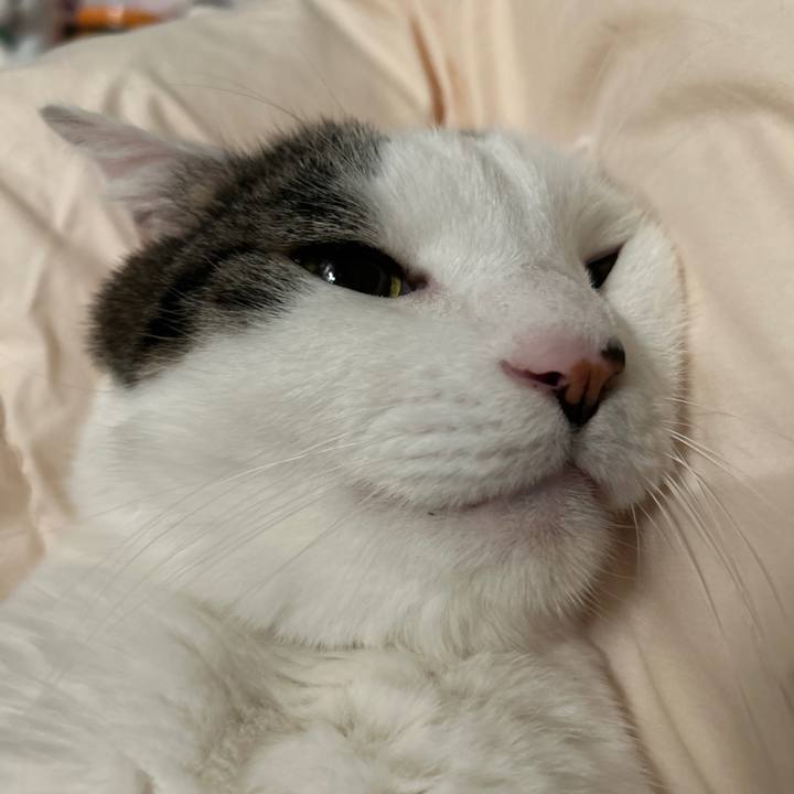 7201fe30 125e 4423 9daa 71d47d4e7232 1765847559251