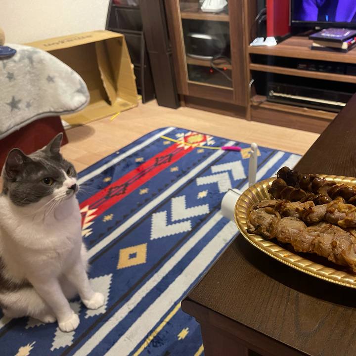 7201ffcb 21ee 41b0 8dbf dc0d15f08bc7 1626529460823