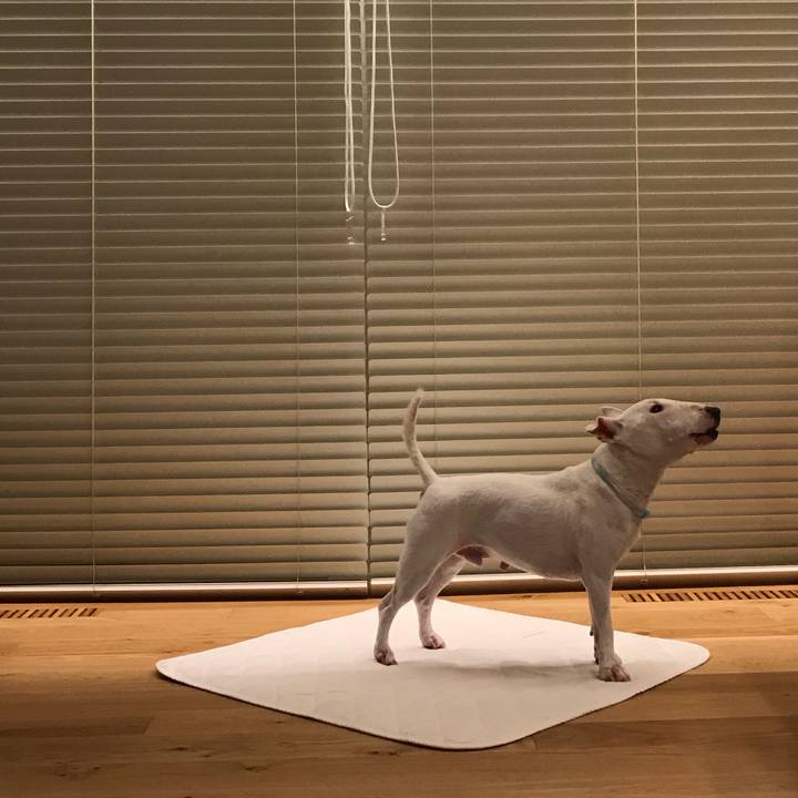 7202b1df b1b8 40d2 a5fa 55ecf9ae507a 1565595567845