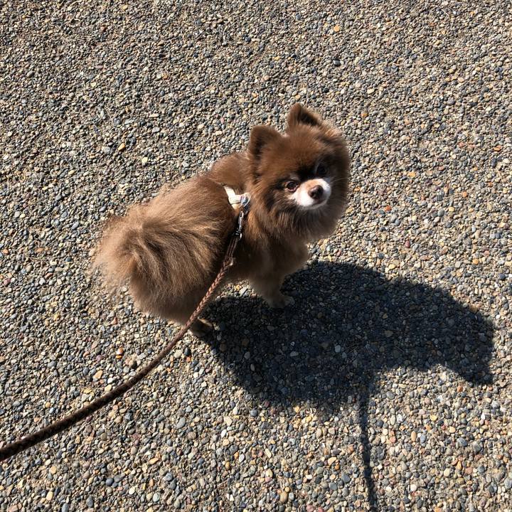 7202b556 4211 45ac 9324 d251f4a81b9a 1618202601051