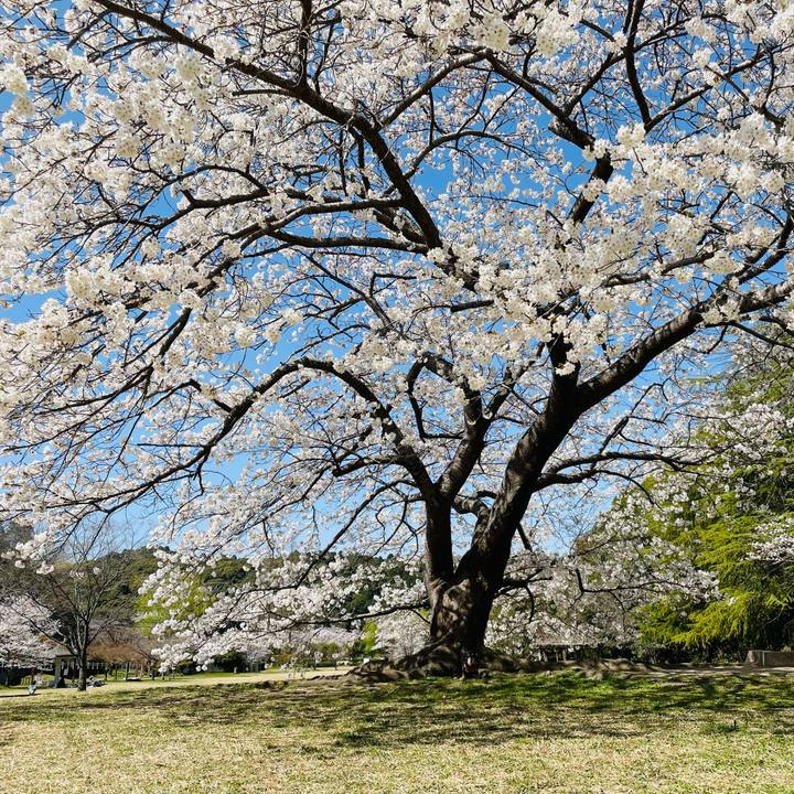 7202d968 96f2 46a0 bba2 03ecbe034682 1649134554978