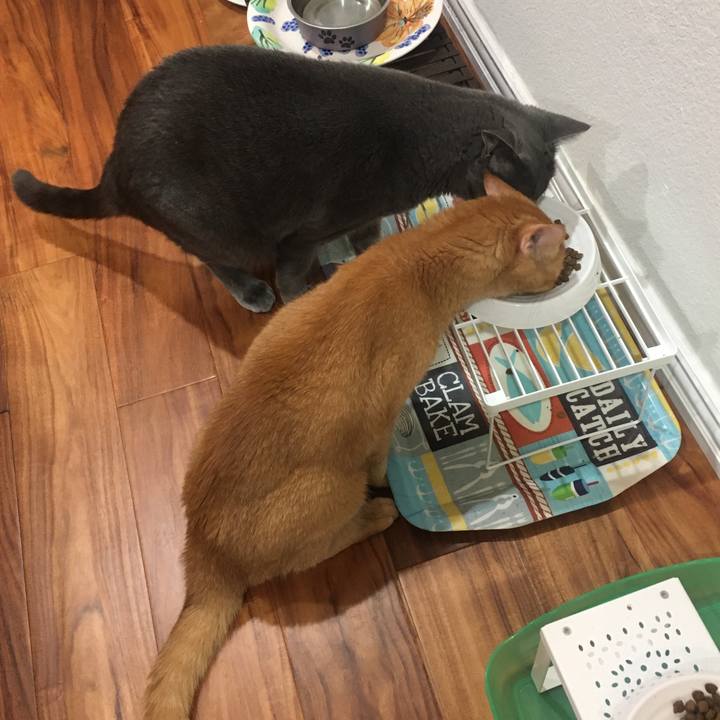 7202e347 52eb 4b10 aa31 47e7a65f568c 1665102838987