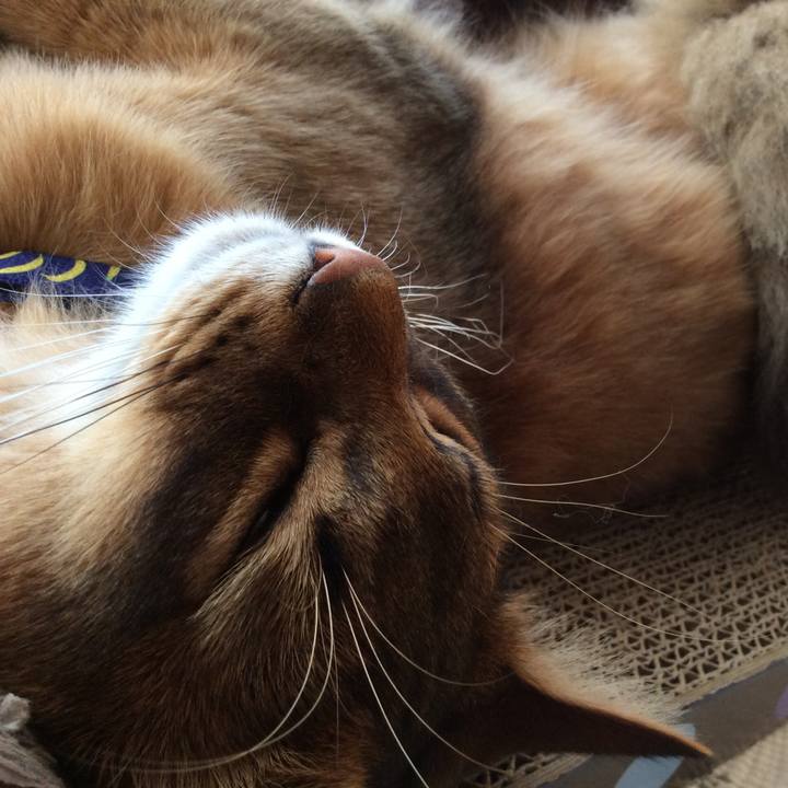 7202f947 b047 4cb3 8c4e cd330d44d81d 1586851794800