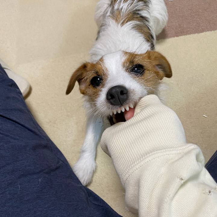 7202f9b9 724b 42cf a5e5 df3ac14c097a 1638618888984