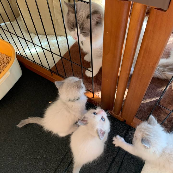 7203101e 0b17 4dc7 80ba 38964e298e6b 1641177081333