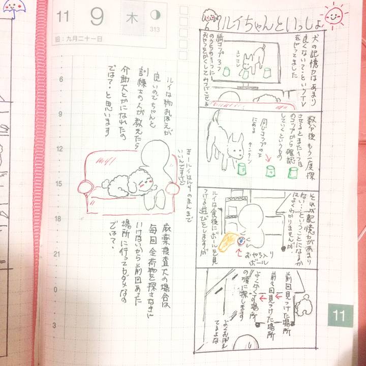 72035773 c884 47f7 85e4 7717284829ed 1510229765940