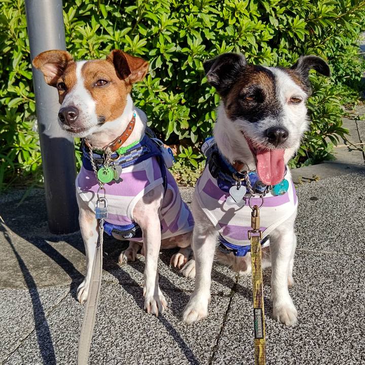 72036bc4 986f 4985 9d66 ac1795317d72 1629410241991