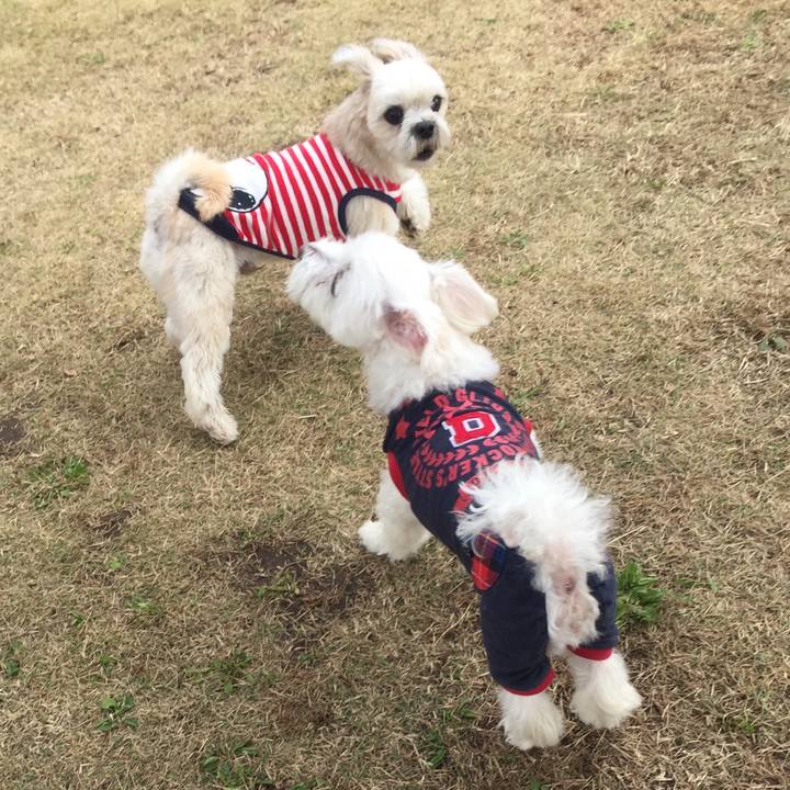 72038401 cdce 4ad6 9b68 5636d0079b2c 1543315758328