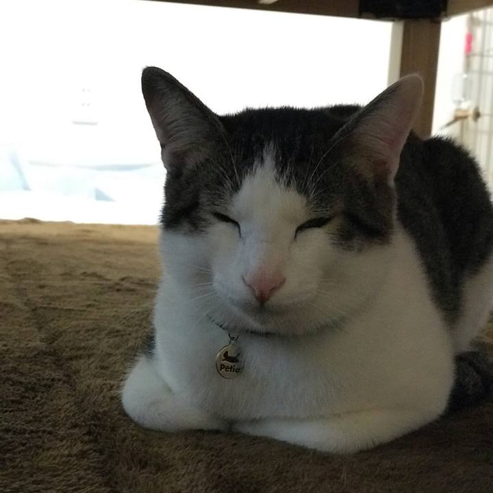 7203c12c 9223 4372 947f 88068a061797 1545275864710