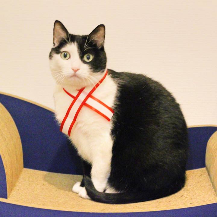 7203e53c 97bc 4a0d a241 2591f13a02b0 1577760854531