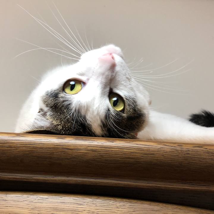 7203eab0 9c01 4424 bccf f3fdb3402815 1600344661428