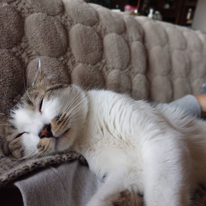 7203eb89 d878 4a1a 9e75 3942ce7048b0 1584757857265