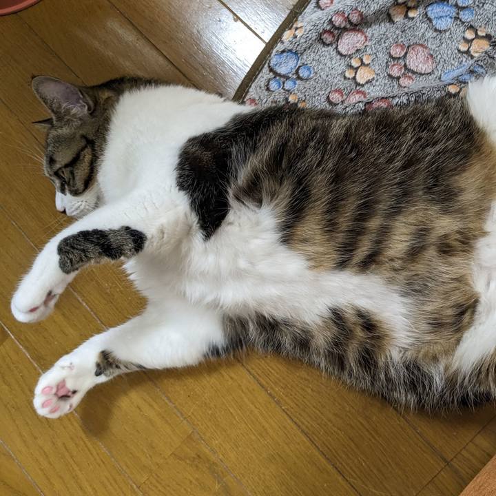 7204005a e6b9 4825 96f0 7d0504f949e6 1680656226897