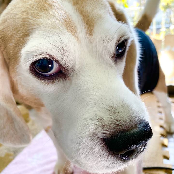 72040e4e 7197 4472 a139 ab677a9d50af 1613015621760