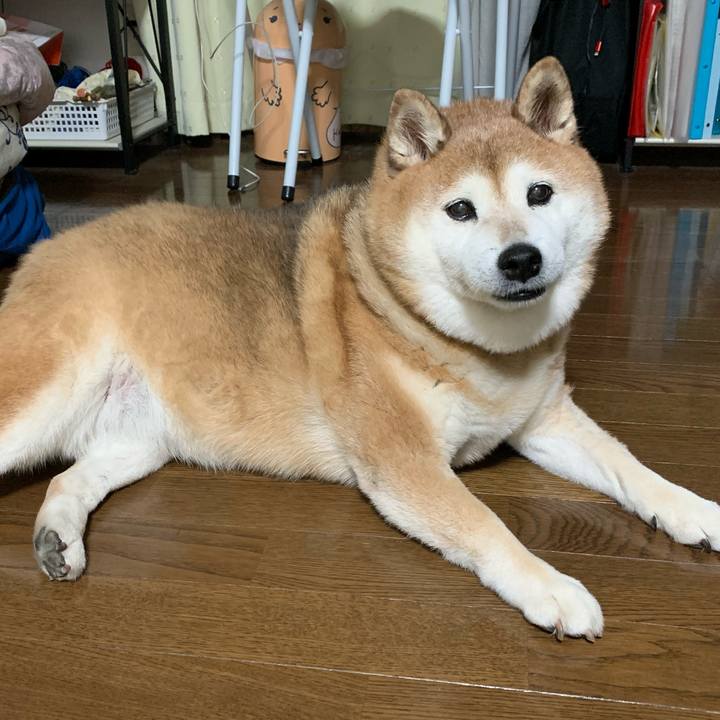 720445b1 dd06 4fca a4a2 6f46adb10994 1576337557457