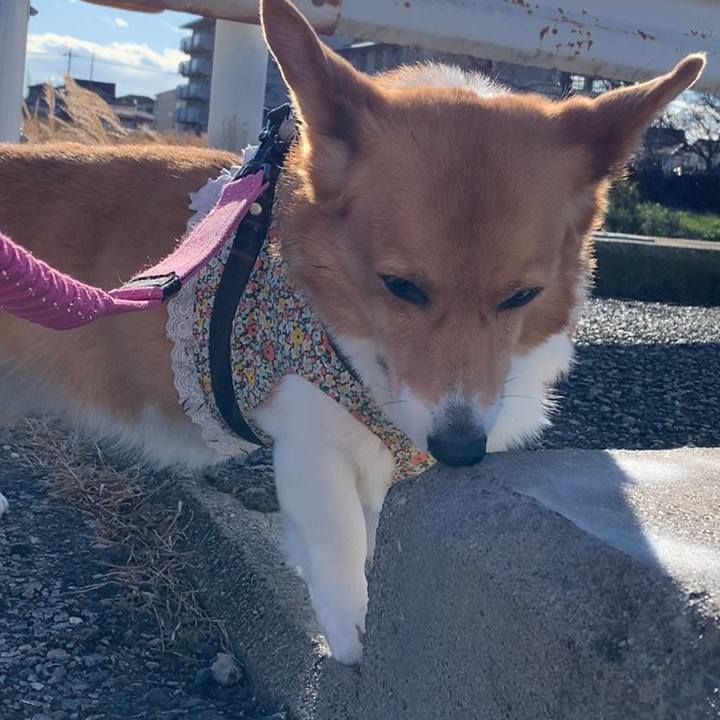 7204461b 467c 4488 b80f 3ced2153cacd 1671948342735