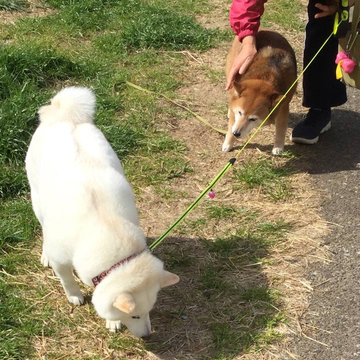 72044a92 dbbc 46f8 a891 587c52635d8f 1615859197838