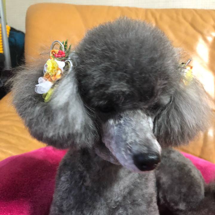 72046271 fd30 4363 a50f 9ffa8318bc6b 1514542878122