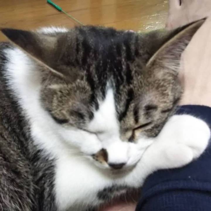 72047fa3 f681 49d0 afed 397bf8ae7316 1617073382050