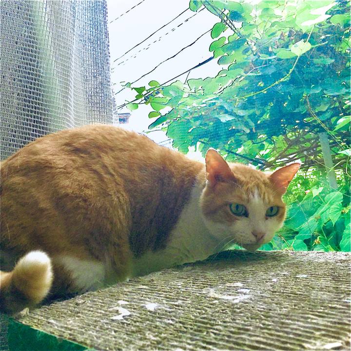 7204a6a9 9100 44df b78c b70eb347a01f 1629327492644