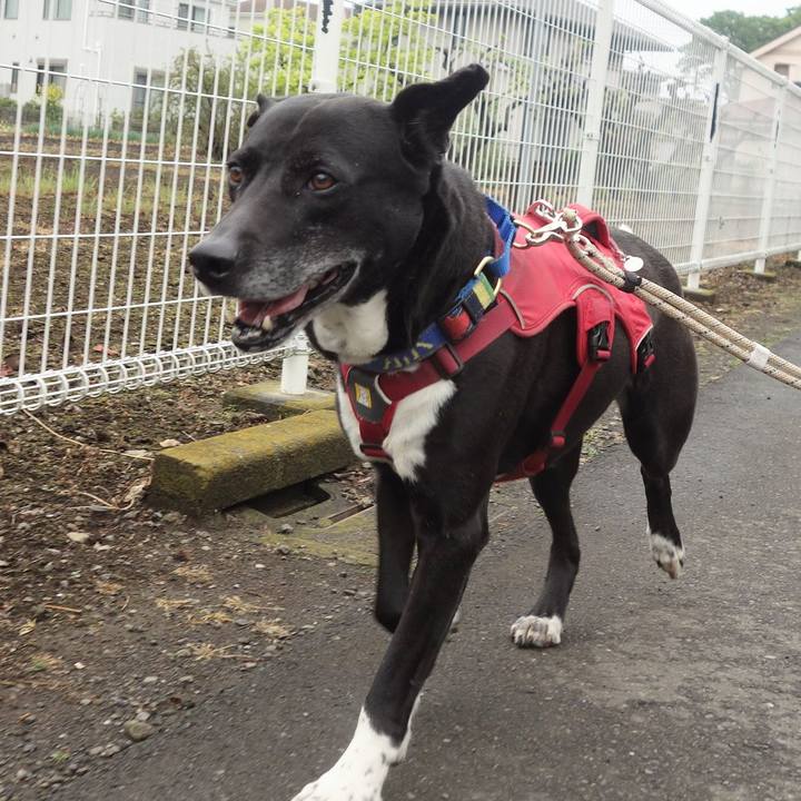 7204d1dd 44d2 4df0 9623 8ae2b21fac86 1681604556894